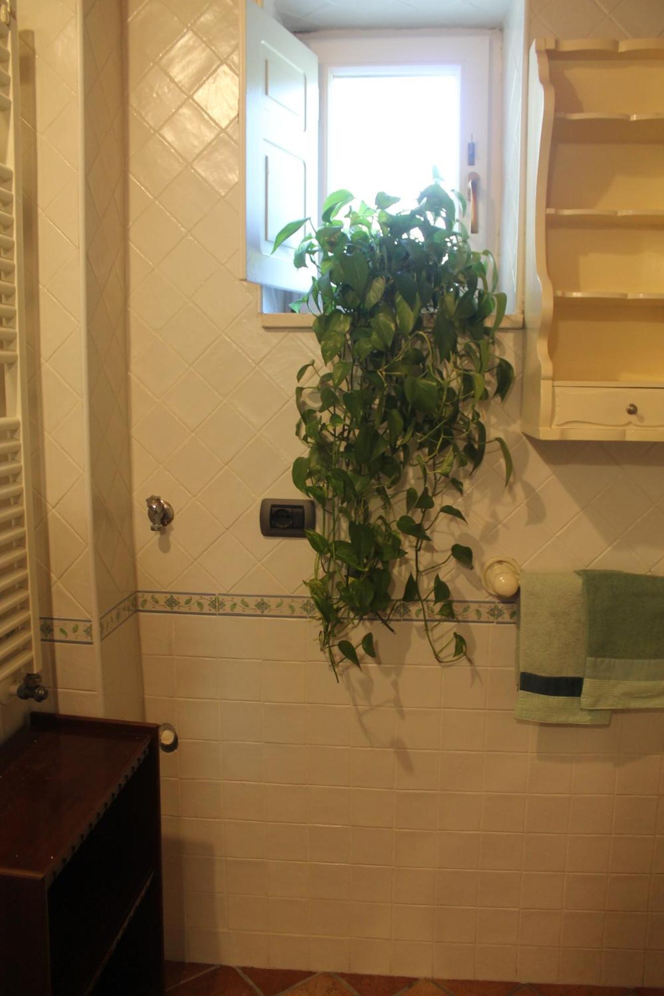 Apartamento La Magnolia Locazione Breve Cava deʼ Tirreni Exterior foto